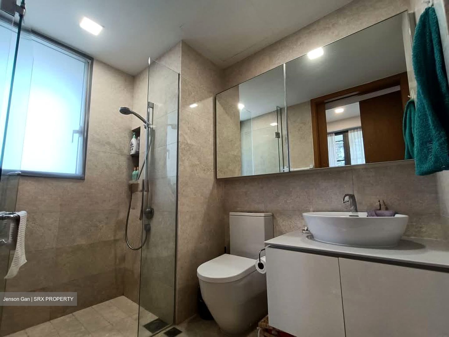 Mon Jervois (D10), Condominium #533459941